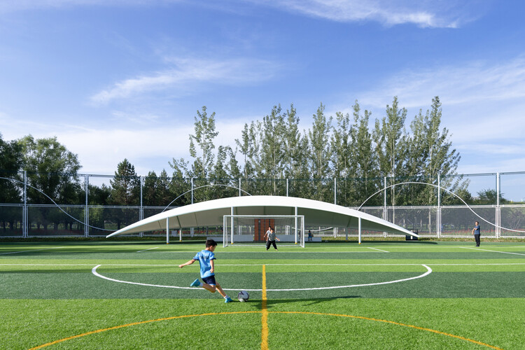 兄弟、搭档和对手——法国乒坛“双子星”的成都秀